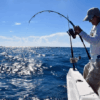 Fishing Tour