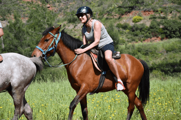 Horse Safari