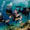 Marmaris Scuba Diving